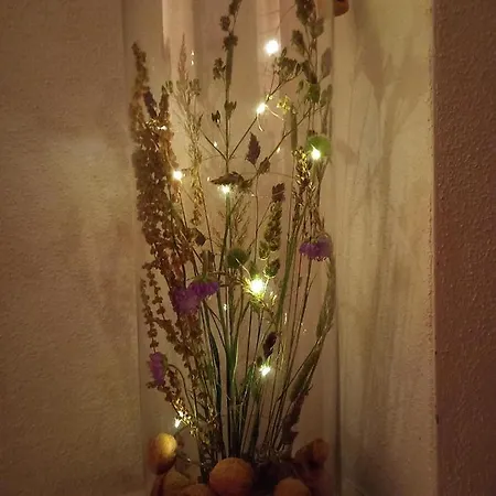 Apartman Rudis Bergblick *